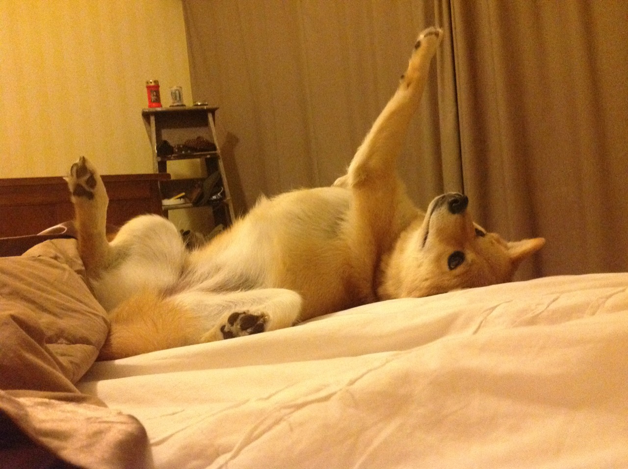 “西甲冠军悬念升温：强队纷纷迎来关键胜利”，西甲冠军球队