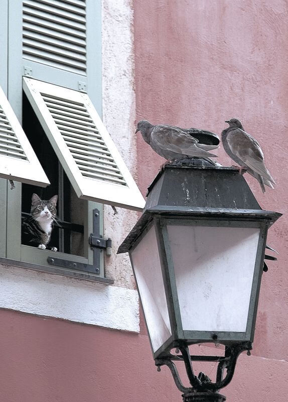 《【文化探讨】电竞如何成为青少年的新文化符号？》，电竞青年群体