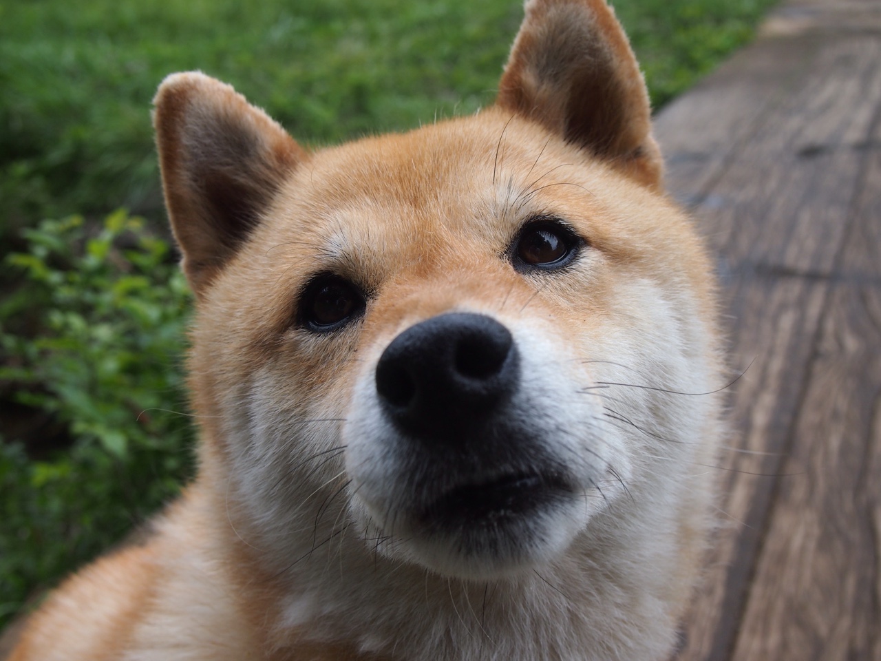 开云入口-中国乒乓球队在巴黎奥运会中包，中国乒乓球队在奥运会上获得的荣誉